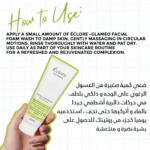Eclore Facial Wash غسول الوجه إيكلور